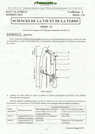 Sujet de SVT BAC D 2013