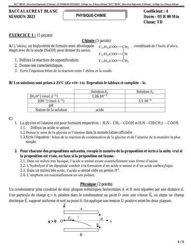 Prépa Bac COMPILATION SUJETS PC BAC BLANC by Tehua