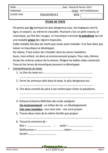 Composition (2) niveau CM2 - EPP NANDIEPLEKAHA  2014-2015