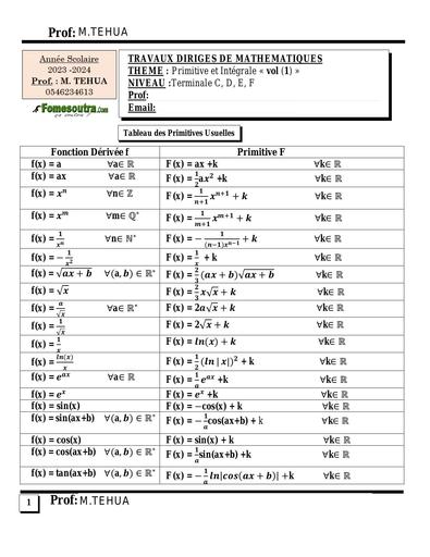 TD PRIMITIVE ET INTEGRALE Tle C,D& by TEHUA