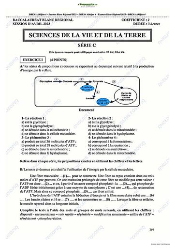 Baccalauréat blanc 2023 Série D SVT + correction de Ferké