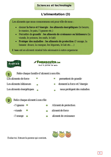 L’alimentation (3) - Cours CE1