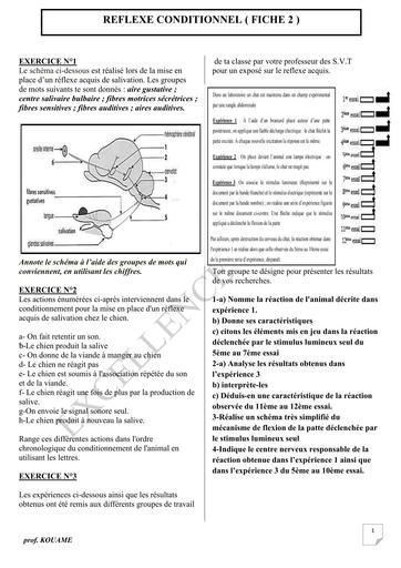 FICHE DE TD SVT REFLEXE CONDITIONNEL ET TISSU NERVEUX Tle D by TEHUA