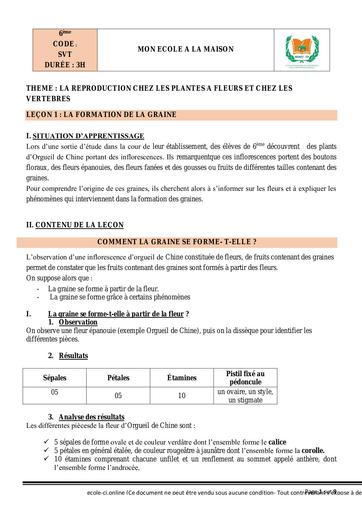 SVT 6ème L1 La formation de la graine