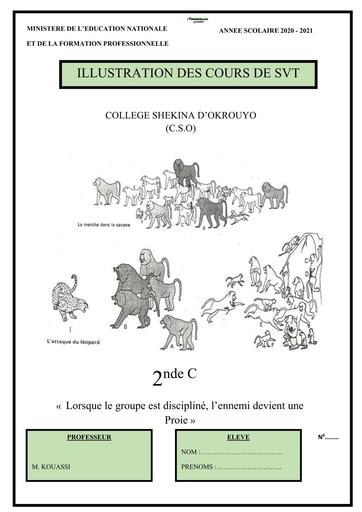 SUPPORTS FINAL 2nde C SVT BY TEHUA