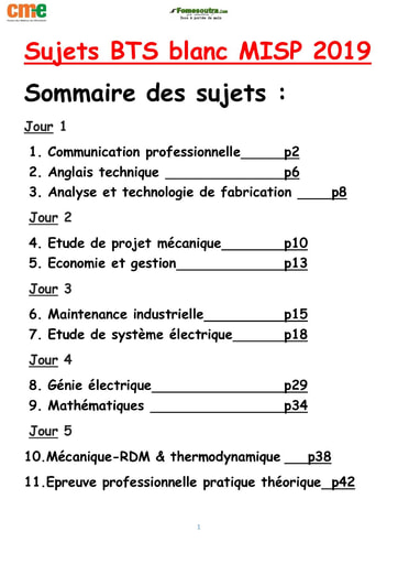 Sujets BTS blanc MISP 2019