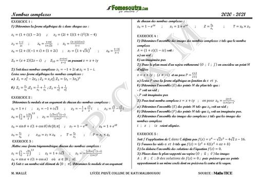 Exercices TSE et TSExp complexes