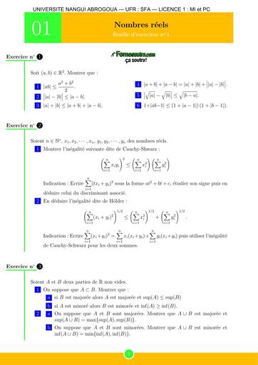 LICENCE MATHS INFO Fiche D'ANALYSE 1 NOMBRES REELS BY TEHUA