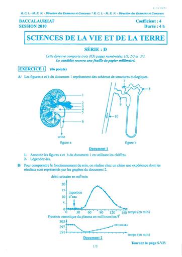 bac-d-svt-2010.pdf