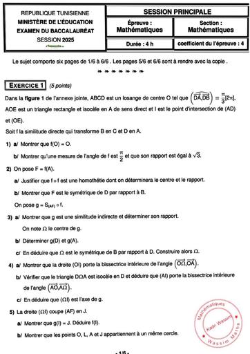 Bac Tunisie 2025 SUJET DE MATHS BY TEHUA