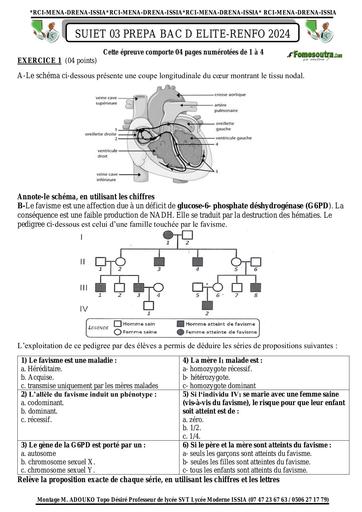 Sujet 03 prepa BAC D ELITE RENFO 2024 SVT by Tehua