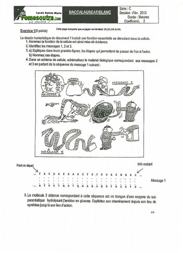 Sujet de SVT BAC blanc 2013 série C Lycée Sainte Marie de Cocody