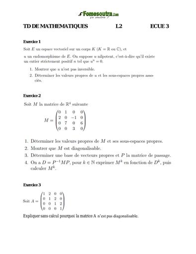 UFHB de cocdy TD Math L2 ECUE 3 Reduction d'endomorphismes 26 04 2022 by TEHUA