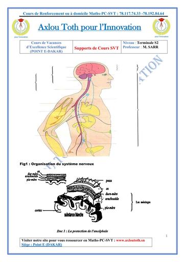 Supports de cours SVT fin BY TEHUA