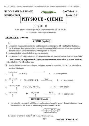 BAC BLANC 2024 PC serie D Région du Béré by Tehua