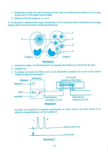 bac-d-svt-2009.pdf