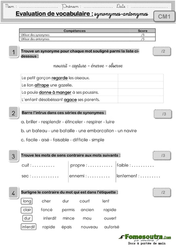 Évaluation de vocabulaire (3): synonymes-antonymes - niveau CM1