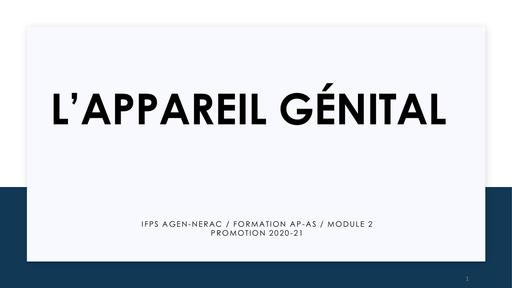 L’APPAREIL GÉNITAL -MODULE 2 by Tehua .pdf