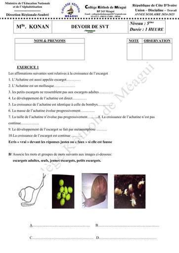 DEVOIR SVT NIVEAU 5ième SOUBRE 2025 les invertebres BY TEHUA