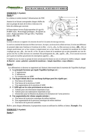 BAC BLANC SVT LMK serie D sujet avec Corrigé by Tehua