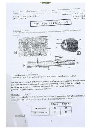 Sujet de SVT T.D 2020-2022 Lycée Classique Abidjan