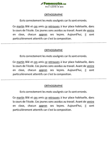 Sujet d’Orthographe (1) - Mise au net niveau CE2