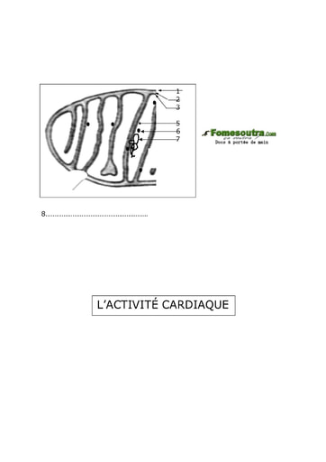 Compile 2 de Schemas de cours de SVT Terminale D