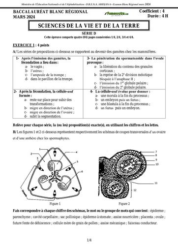 BAC blanc 2024 SVT Serie D DREN Abidjan 4 sujet by Tehua