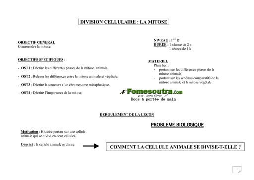 Division cellulaire: mitose animale - SVT 1ère D