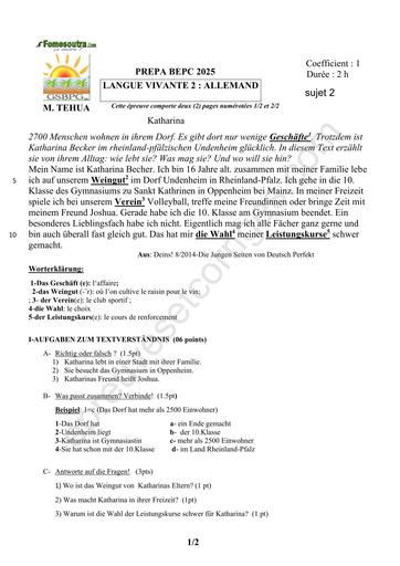 PREPA BEPC 2025 ALLEMAND FICHE 2 BY TEHUA