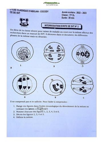 Sujet de SVT niveau Première D Lycée Classique Abidjan 2022-2023