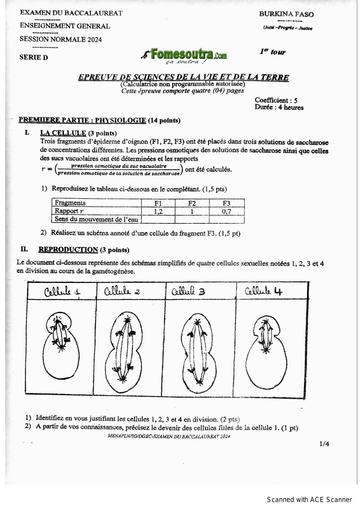 SUJET BAC 2024 SVT SERIE D BURKINA FASO by Tehua