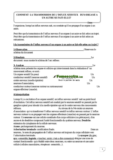 Transmission de l'influx nerveux d'un organe à l'autre - SVT 2nd A