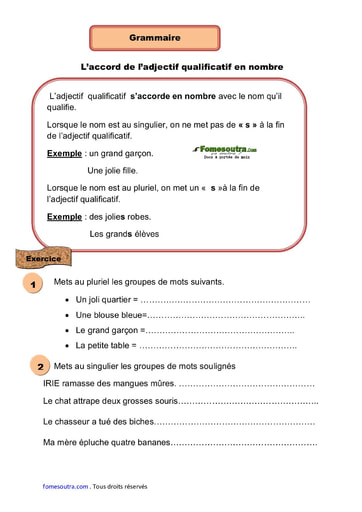 L’accord de l’adjectif qualificatif en nombre - Cours CE1