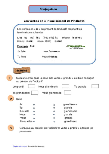 Les verbes en « ir »au présent de l’indicatif - Cours CE1