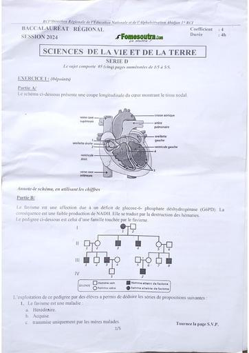 Bac Blanc 2024 SVT serie D dren Abidjan 1 (Cocody) by Tehua