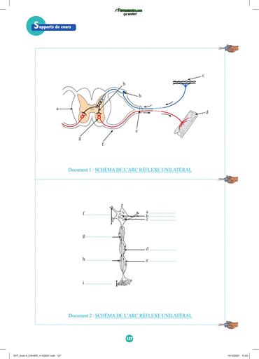 SUPPORT DE COURS SVT 2nde A CAHIER BY TEHUA