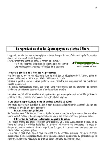 La reproduction chez les Spermaphytes ou plantes à fleurs - SVT Terminale D