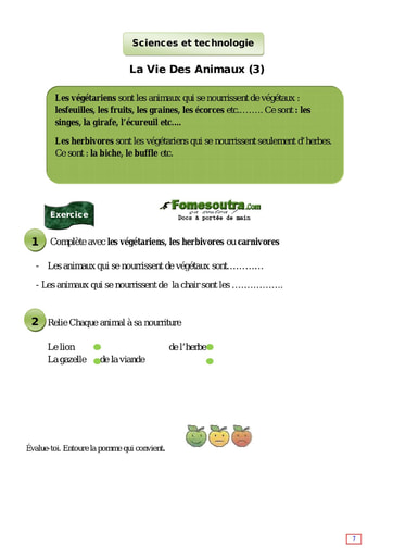 La Vie Des Animaux (3) - Cours CE1