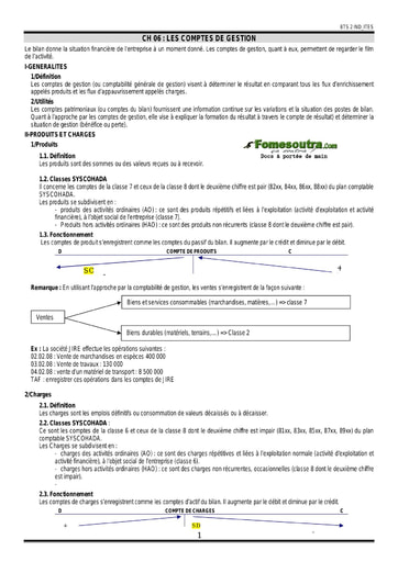 Les comptes de gestion - BTS Industriel