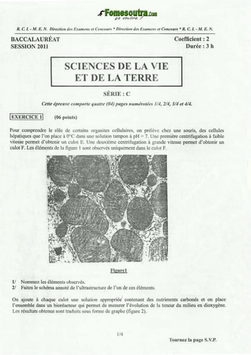 Sujet de SVT BAC C 2011