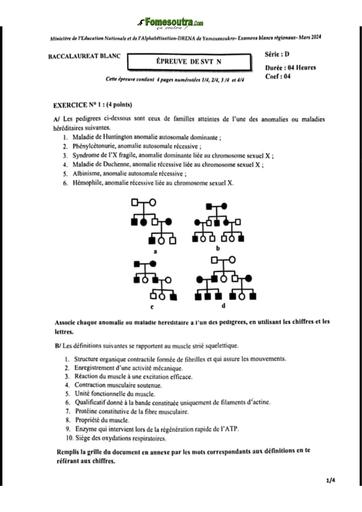 Bac blanc 2024 SVT serie D dren Yamoussoukro sujet+barème by Tehua