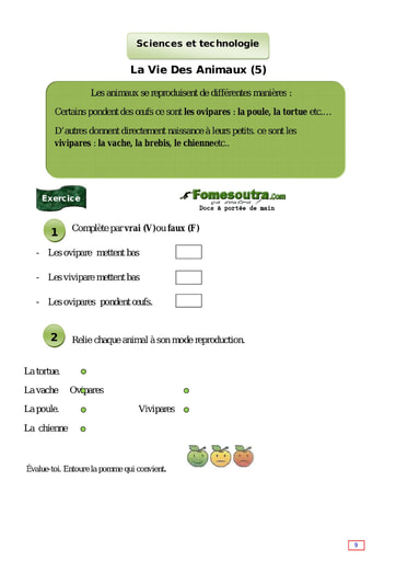 La Vie Des Animaux (5) - Cours CE1