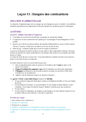 Leçon 13   Dangers des combustions