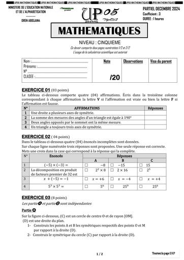 DEVOIR Partiel MATHS NIVEAU 5ième Decembre 2024 UP 05BY TEHUA