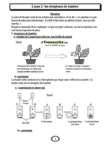 Les récepteurs de lumière - Physique 4eme