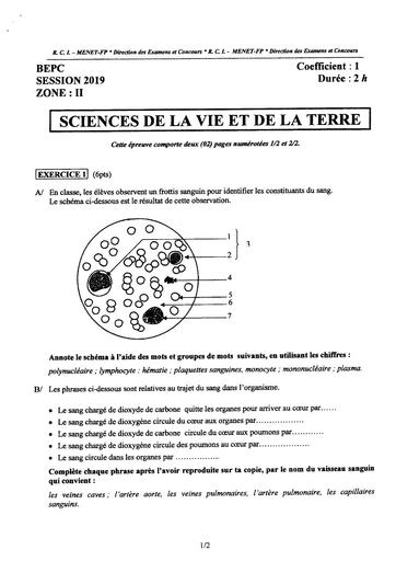 BEPC-Z2-SVT-2019.pdf